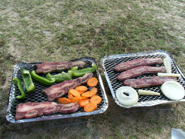 骨付き肉、ピーマン、たまねぎ、ニンジン、ジャガイモ。<br />簡易式のコンロといえ、火力はすごいです。<br />美味しく焼けました。