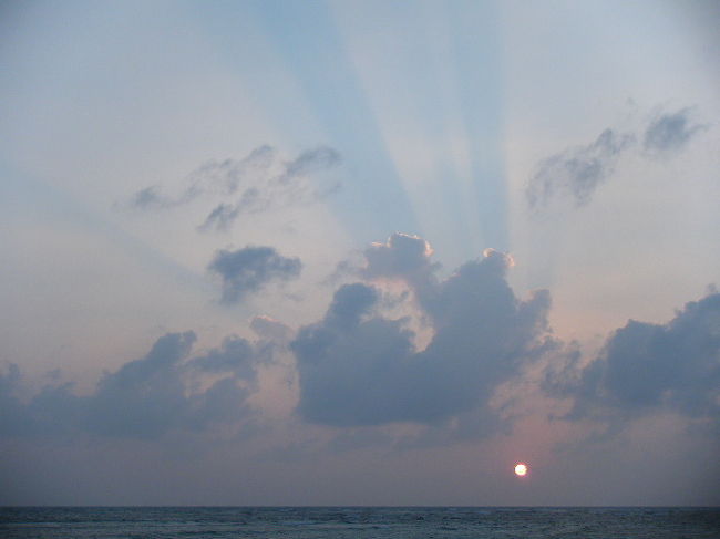 光の筋が綺麗でした。