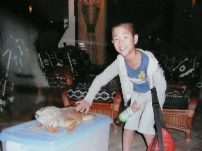 空港から１時間程車で走った山奥に　ロッジはありました。<br /><br />すっかり日も暮れ、着いた僕を迎えてくれたのは<br />な・なんと！　イグアナの赤ちゃん。<br />もちろん本物！毎晩　動物の赤ちゃんとロビーで<br />会えるんです・・・触ってもいいんですよ。<br /><br />白フクロウの赤ちゃんにも会えました。