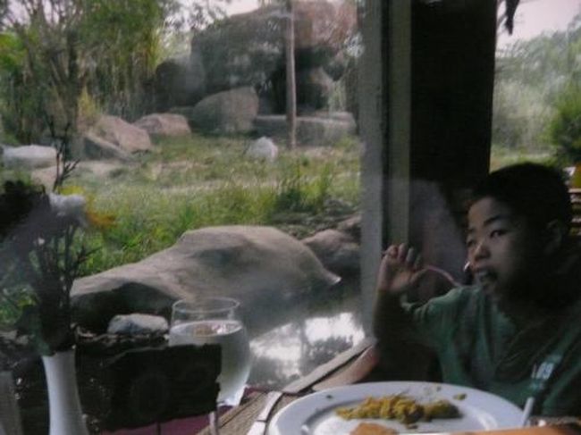 朝食は　アメリカンセットなど３種類くらい。<br /><br />うん、まあまあのお味・・・。<br />パンは美味しかった。<br /><br />窓の外はライオン！<br />こんな近くで見れるから、窓際は人気の場所。<br />今朝は一番のりだったので座れたよ。<br /><br />昼・夜は予約がいいみたい。<br /><br />でも！一番近くでみれるのは<br />なんと　トイレでした・・。<br />ライオンに見つめられながら・・・不思議な気分。<br /><br />スタッフは日本語はNG・・でも英語はOK<br />ロビーには　日本語をしゃべれる人が交代で１人いました。<br /><br />でも理解度　ビミョ〜。<br /><br />