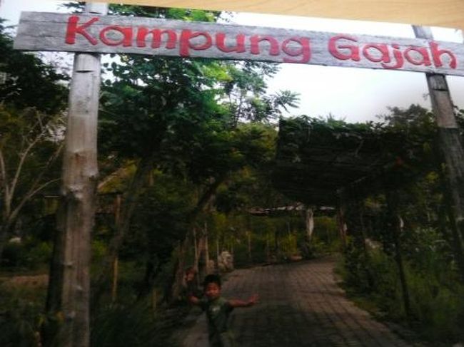 さあ、像たちと遊ぶぞ〜。<br /><br />朝、９時半・・観光客はまだおらず、宿泊者だけです<br /><br />午後になると人が多くなるので、早起きして回るのが<br />お勧め。<br />まだ暑くない時間です。<br /><br />