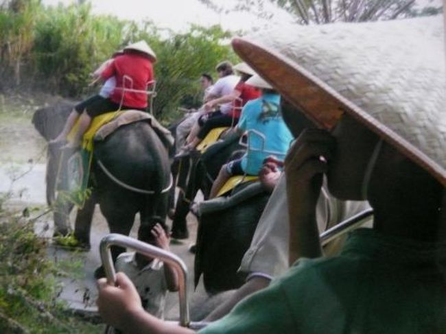 像とサファリの中を散歩…楽し〜。<br /><br />像の背中にはビニールシートだけなので<br />動きを感じる。<br /><br />最後はちょっとお尻が痛かった。<br /><br />写真の笠はプレゼントされるけど、お断りしました。<br />荷物が嵩張るからね〜。