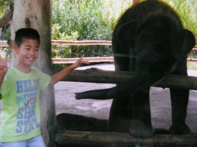 親子の像と触れ合えます。<br /><br />１００円ぐらい？でニンジンの束を購入し<br />食べさせます。<br />もちろん触れるのもOKでした。<br /><br />