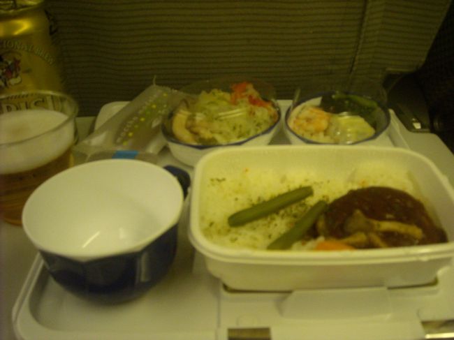 JAL機内。<br />これは「たいめいけんの煮込みハンバーグ」。<br />おいしかったーー。　ごちそうさまでした！<br /><br />18時ごろ発の便だったので、ホーチミンに到着するのは夜遅く。<br />空港着いてから、ホテルまで、どうしようか。。