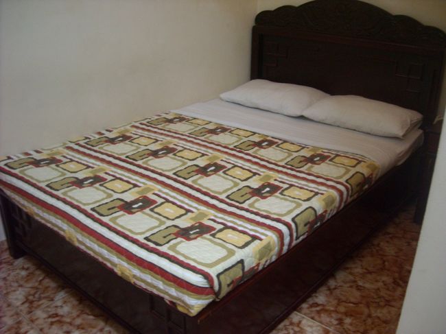 空港周辺にいるタクシーは、評判が良くないのが多いらしいので、送迎を頼んじゃいました。<br /><br />もったいないけど、トラブルに巻き込まれるよりはマシ！と自分を納得させる。（実際、空港の到着ロビーから出ると結構な人数の白タクらしき人々がいて、雰囲気は微妙でした；）<br />昼ならいいんだけど。<br /><br />そして、到着したのは、安宿が多いデタム通り沿いにある「オリエントホテル」。<br />1泊20ドル♪<br /><br />しかし、写真ではきれいに見えるものの、虫少々と、シャワーがやや壊れ気味。ドライヤー貸出不可（というか、ないっていわれた）と少し残念な感じ。<br /><br />シャワー浴びて即効寝ます。。