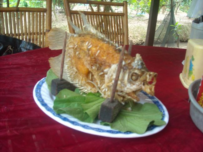 この日の昼食。<br />エレファントフィッシュの姿揚げ。<br />おいしくいただきました★