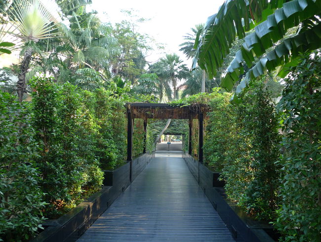 ☆マリオット・リゾート<br /><br />マダムが仕度している間、カメラ片手に恒例の散歩に出かける。<br />南館を地上階（日本流には1FだがタイではG階と言うのが正しいのかな？）まで降りて建物を出ると、プールや本館に連なる板敷きの緑の通路がある。<br /><br />バリに似た雰囲気。なかなかいいぞ。