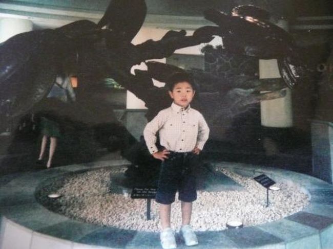 夜に関空を出発して、気付いたらハワイ到着。<br /><br />海沿いのシェラトン・ワイキキに宿泊です。<br /><br /><br />買い物も便利・ホテル内のピザ屋のお兄さんは<br />とても優しくて　２回も食べに（会いに？）<br />行きました。