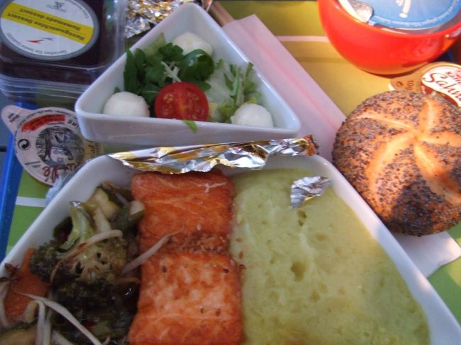 オーストリア航空でウィーン経由で帰京。中欧音楽旅行終わり。