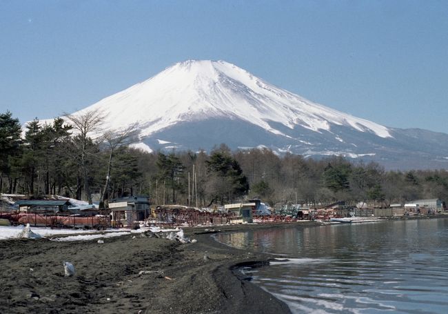 山中湖からの富士山。