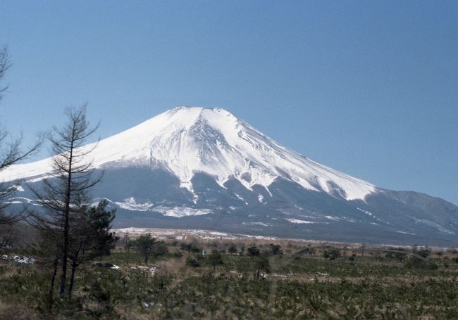 忍野からの富士山。