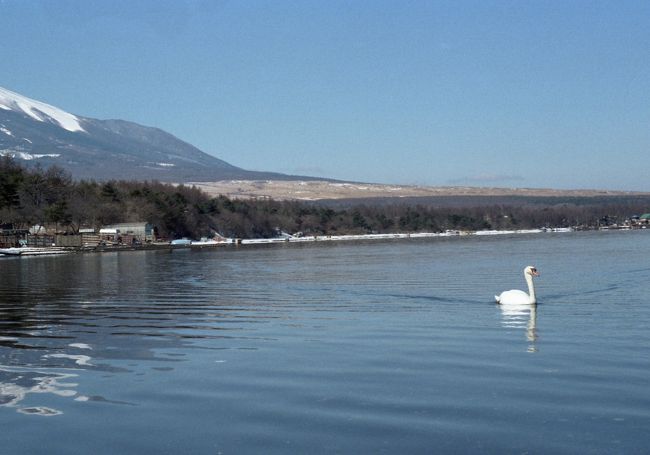 山中湖畔。