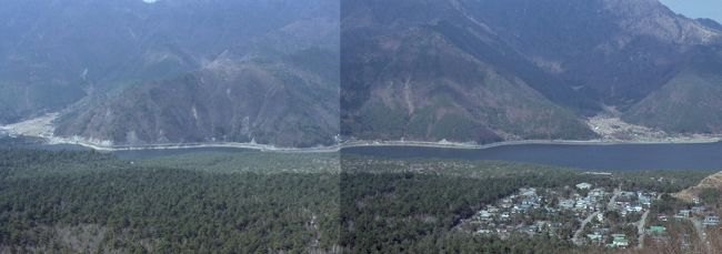 樹海の中に西湖。