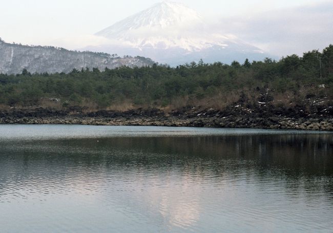 西湖越しに見る富士山。