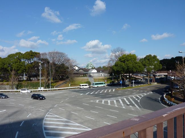 遠目から名古屋城