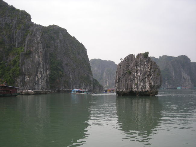 りんご<br /><br />ベトナムのお金に印刷されています