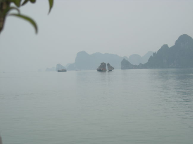 キスしてる鳥。