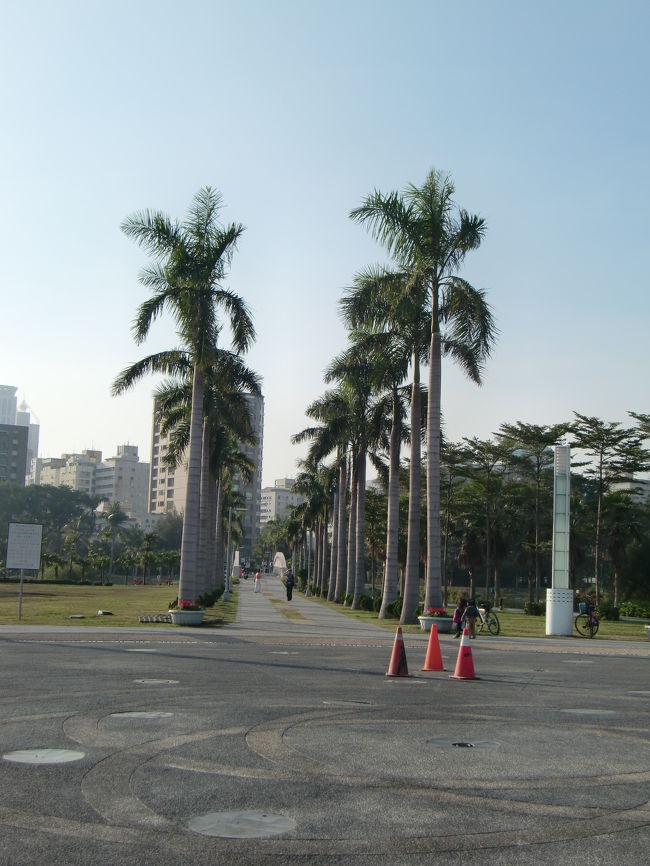 公園内には南国風な木も植えてあります。