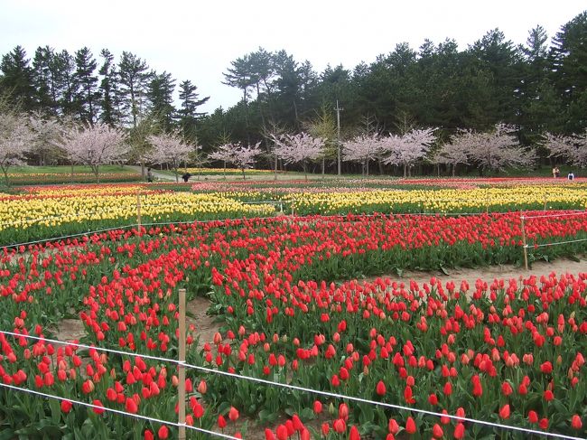 鶴岡 山形 の観光旅行ガイド 春夏秋冬 鶴岡 山形県 の旅行記 ブログ By Setoさん フォートラベル 鶴岡 山形 の観光旅行ガイド 春夏秋冬 鶴岡 山形県 の旅行記 ブログ By Setoさん フォートラベル