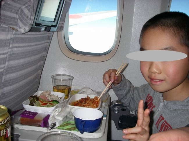 機内は満席<br />赤ちゃん連れ多し<br />　<br /><br />我が家がＪＡＬウェイズを選ぶ理由<br />それはアルコール無料(￣ε￣＠)<br /><br /><br /><br /><br /><br /><br /><br /><br />