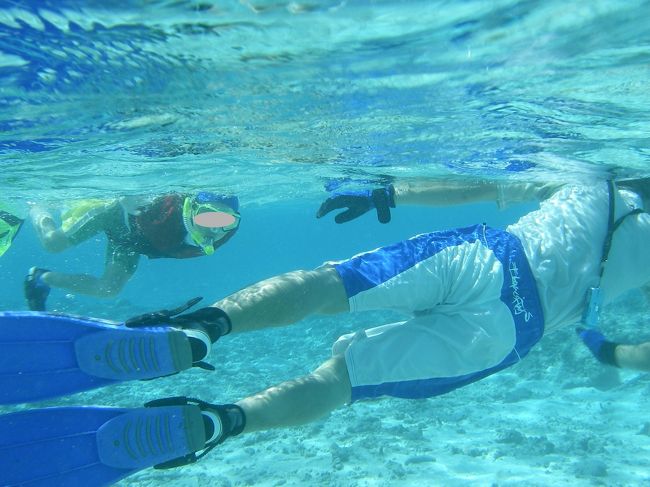 今日もバツグンの透明度<br />気持ちいいーーー<br /><br /><br />小さい頃からシュノーケラーな息子<br />フィンさばきもだいぶ上達したよねーー<br /><br /><br /><br />