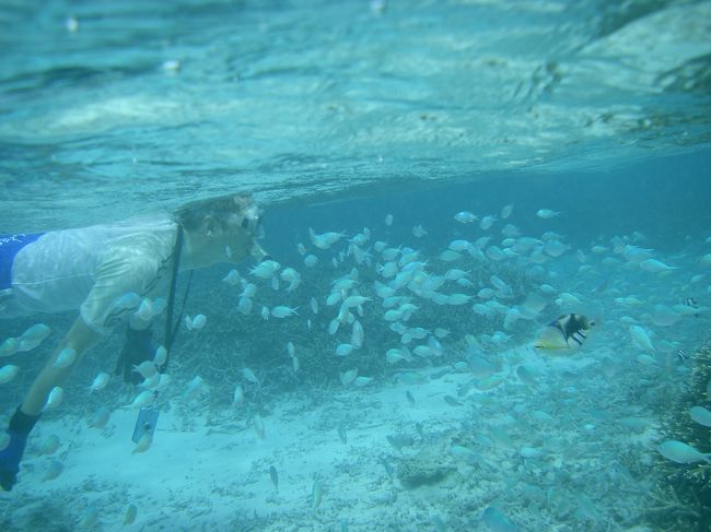 ホテルビーチがシュノーケリングに適してる所って<br />実は探してもなかなか無いんです<br /><br />ここなら<br /><br />パパママ交替でシュノーケリングしたり<br />プールでも遊べるし<br />プールサイドにはジャグジーもあるし<br />疲れたらお部屋にもすぐ戻れます<br /><br /><br />素晴らしい水中はいつでも目の前<br /><br />子連れシュノーケラーにはイチオシです！！！<br /><br /><br /><br /><br />