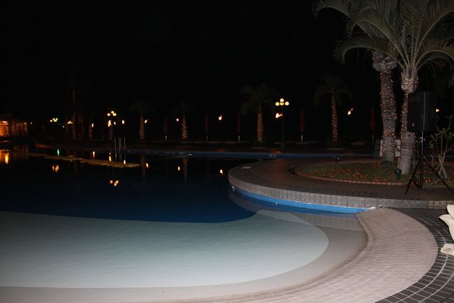 食べ終わったころにはもうショーはすっかり終わっていました。