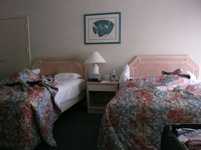 深夜に到着・・<br /><br />ホテルは　口コミで評価低めのオハナ・オーシャン。<br /><br />噂どうり　魔の坂道はきつい！<br />部屋はまあ、低料金だから許せる範囲。<br />虫はいませんでしたし、シャワーの湯もきちんとでました。<br /><br />ホテル内のコンビニは最低限のものはありましたが、<br />AM8時〜PM８時の営業でした。