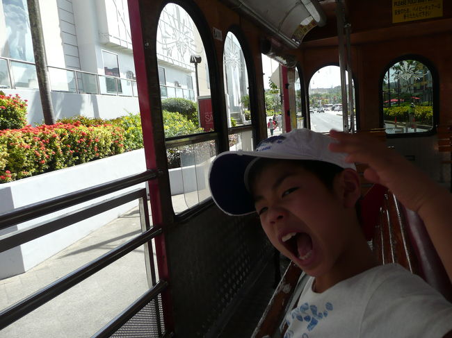 トロリーで移動。<br />停まると暑いですが、走行中は風で快適。<br /><br /><br />