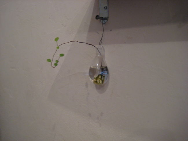 壁にも。<br /><br />センスのいいお店に行くと、勉強（？）になります。