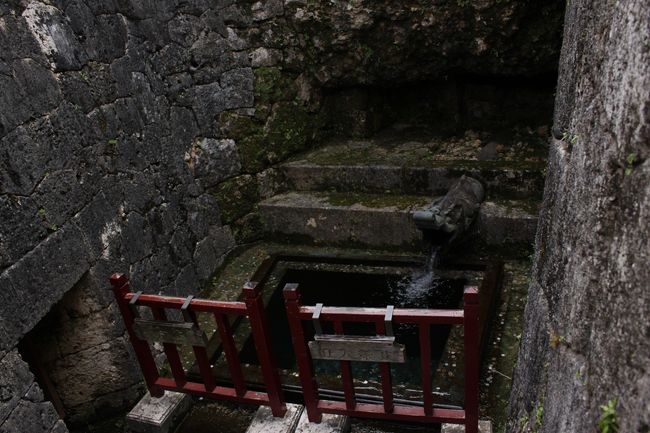 湧水が出ています。