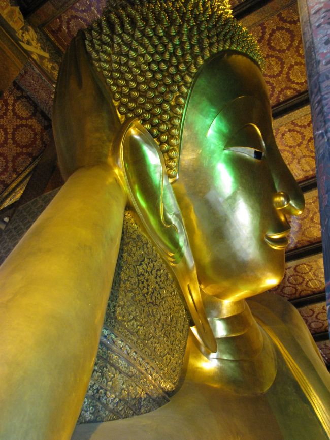 いつまでもゴロゴロしてないでやる気を見せろ！