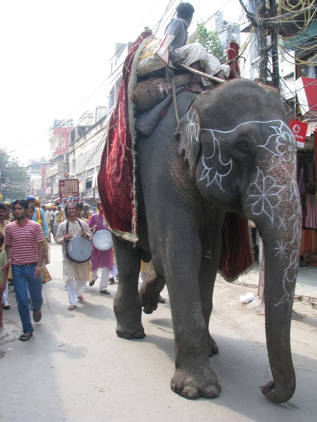 パハールガンジでなんかパレードみたいなものをしていたので。<br />ゾウです。