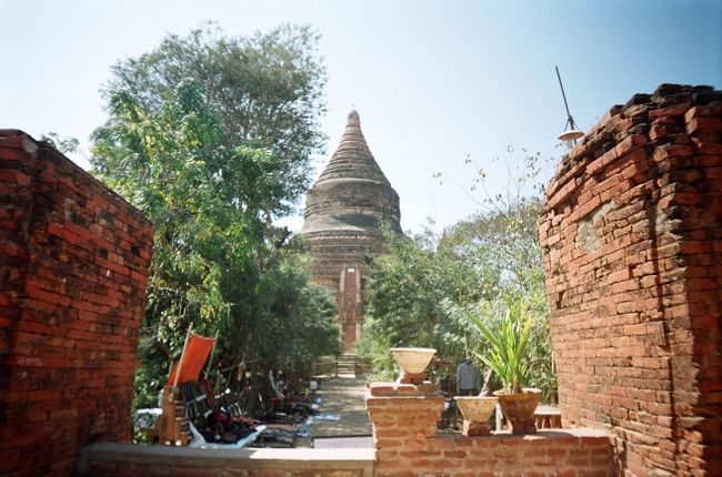 近くまで来ると迫力有り。