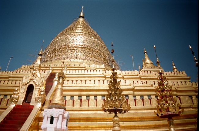 美しいバゴタ。