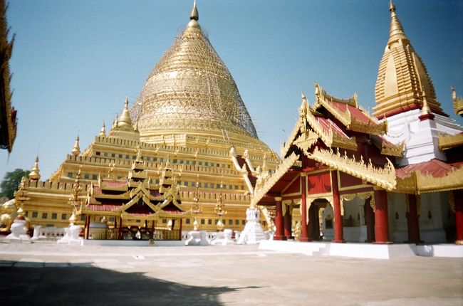 荒地の中のオアシスです。