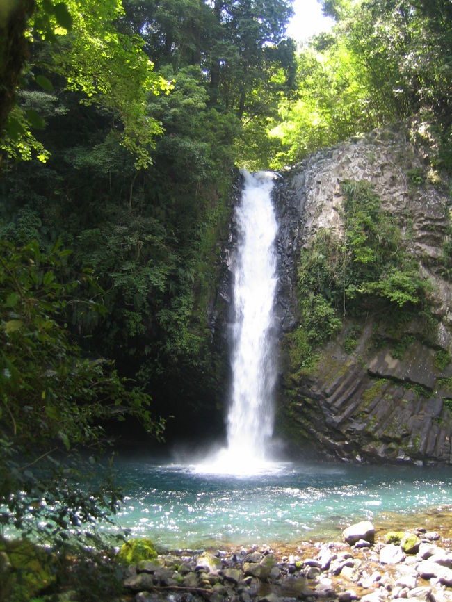 天城越えで有名な、浄蓮の滝。<br /><br />玄武岩の岩肌を流れ落ちる<br />幅７ｍ高さ２５ｍの滝。<br />「日本の滝１００選」にも。