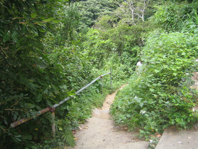 草だらけの道の先に