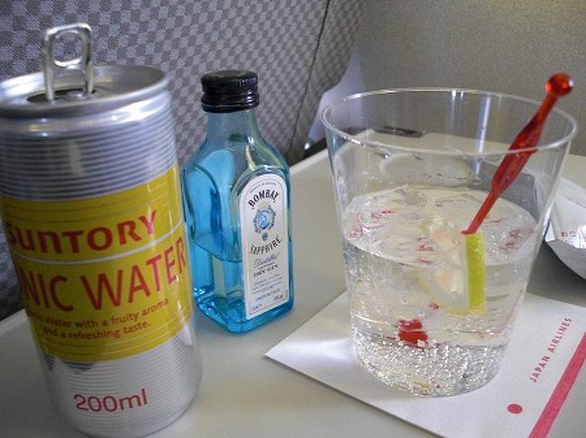 搭乗率は50％ほど。。<br />となりも居ませんので、楽ちんです。<br />隣のテーブルは飲み物置き場となります。