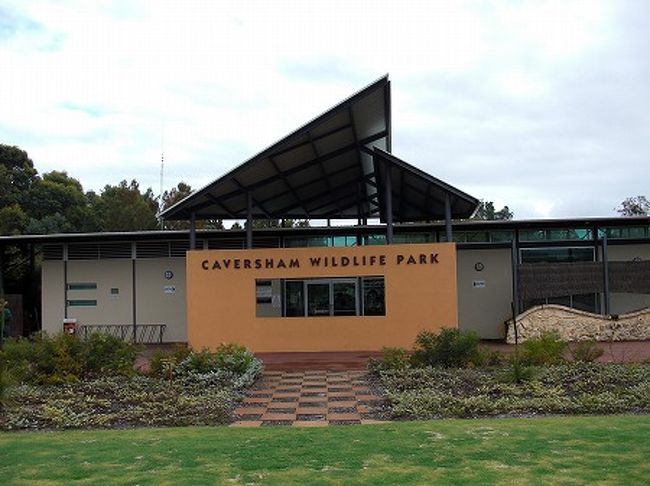 バスは出発して３０分ほどで、「CAVERSHAM WILDLIFE PARK」に到着。<br />ここでは、コアラとカンガルー、ウォンバットを見ることができます。