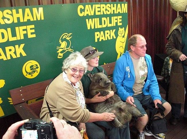 ウォンバットを抱いての記念撮影もできます。