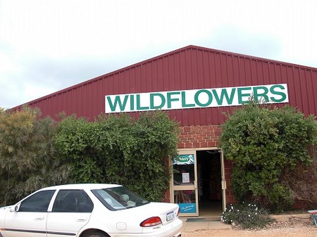 ピナクルズ到着前に近郊で昼食になります。<br />こぢんまりした、お土産屋みたいなとこでランチビッフェです。<br />たぶん、このツアー専用のお土産屋だと思います。<br />まず、一般の人は気づかないたたずまいですから・・・