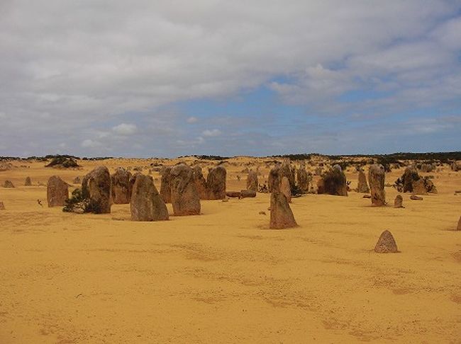 いよいよピナクルズです。<br />天気も晴れ間が見えてきました。<br /><br />ピナクルズでは、５０分ほど歩いて散策になります。<br />いやぁ〜絶景です。<br />どうぞ、写真をご覧あれ！