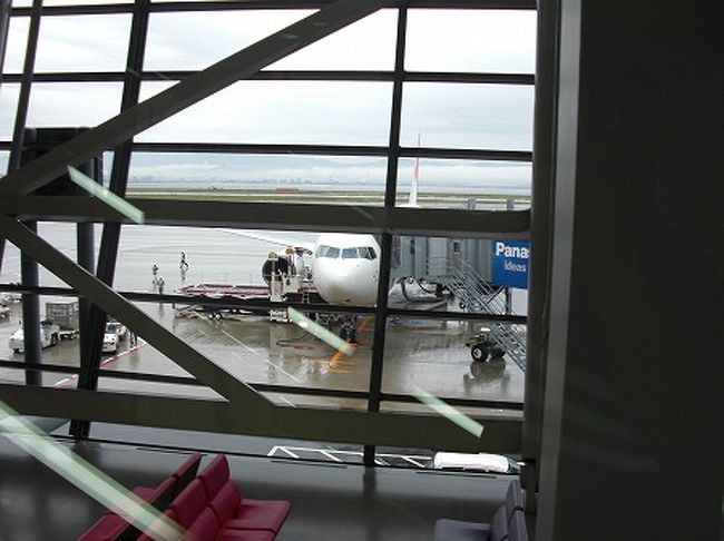 大阪行きなんか、ガラガラかと思いきや、結構な人が・・・・<br />座席は、非常口前の足を伸ばせる席を指定してるので<br />少し楽チンかな・・<br /><br />機内に乗り込むと、激しい睡魔が襲ってきて、タキシングの間に爆睡zzzzz<br />途中、何回もお尻の痛さに起きたが、ほぼ６時間半は寝っぱなし。。<br />機内食もパス。<br /><br />早朝、７時に雨の関空に到着。<br />車に乗り込み会社に出勤しました。<br /><br />現地1.5日という強行軍でしたが、思いのほか内容の濃い旅行となりました。<br />まぁ、できたら最低３日はかけて見たいとことろですね。<br /><br />最後までお読み頂きありがとうございました。<br /><br />