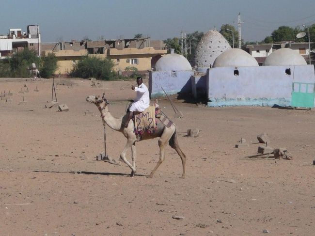 船着場周辺をうろつくラクダ。どこに乗せて行くんだろう。