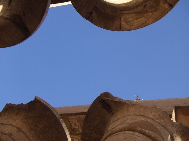 中央通路から見上げると、このようになっています。多柱室の柱には２種類あって、