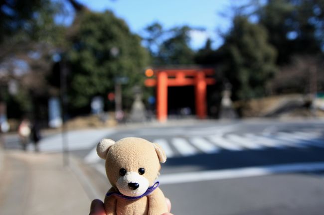 春日大社<br /><br />今日は春日大社にやってきました。<br />ここには前回東大寺に来た時に大鳥居を見かけて、寄っていこうかと思ったのですが、時間が足りなくて断念したところで、今回はリベンジになります。<br /><br />京都の世界遺産はほぼ攻略済みなのですが、奈良はほとんど手つかずでした。<br /><br />今回の春日大社も世界遺産のひとつなので、これで奈良は４か所目の訪問になります。<br />