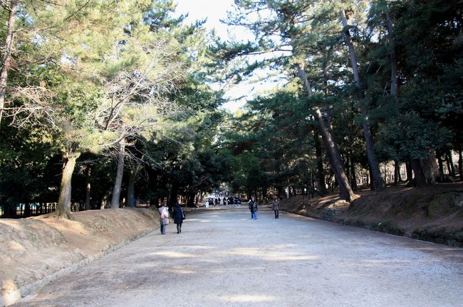 参道<br /><br />正月だったらもっとすごい人で混雑していたんでしょうね〜。<br /><br />この日は日曜日ですが、あまり人はいませんでした。<br /><br />