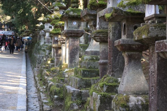 参道<br /><br />参道の両側には、石の灯篭がズラッと並んでいます。<br />