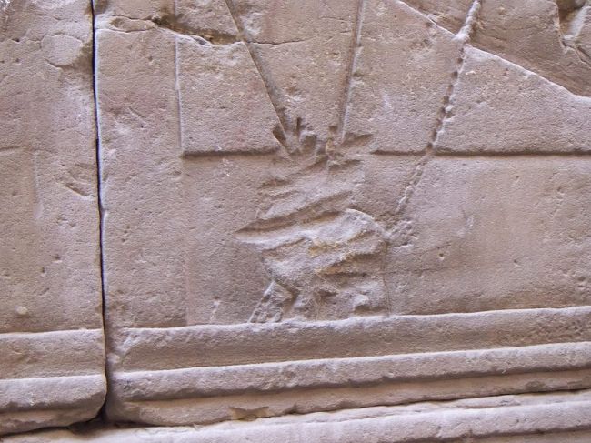 よく見ると、こんな格好をしたセトです。次は、